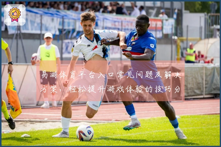 易游体育平台入口常见问题及解决方案，轻松提升游戏体验的技巧分享