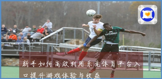 新手如何高效利用乐竞体育平台入口提升游戏体验与收益